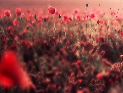 女鞋（个人主页-ZMTc4MDQwNDg=） - 运营设计 - 站酷设计师初学的菜鸟原创素材 - 站酷ZCOOL