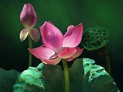 照片临摹两组（个人主页-ZMzEzOTYxNg==） - 创作习作 - 站酷设计师Hinata0801原创素材 - 站酷ZCOOL