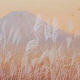 _Dorime_的头像