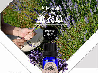 薰衣草描述