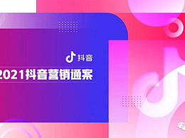VIS 设计+品牌营销策划案