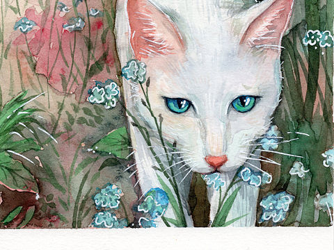 水彩猫咪