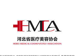 医疗美容协会标识（个人主页-ZMTk3MTU3Mg==） - Logo - 站酷设计师睡醒的雪zxm原创素材 - 站酷ZCOOL