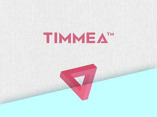 valiant_馨子[原创作品]－国外服装品牌logo－timmea