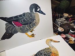 手繪動(dòng)物插畫。鴨鴨