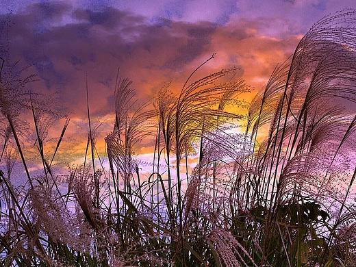 走一步有一步的风景,进一步有一步的欢喜