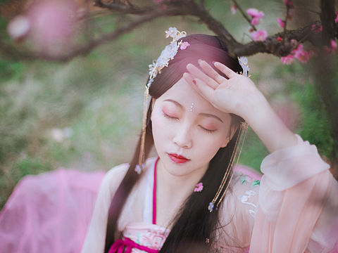 梅花仙