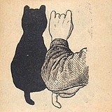 液猫子的头像