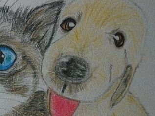 萌寵（個(gè)人主頁-ZMTI5MDMyNjA=） - 藝術(shù)插畫 - 站酷設(shè)計(jì)師我是姍原創(chuàng)素材 - 站酷ZCOOL