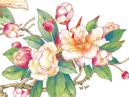 手绘插画-带质感花朵