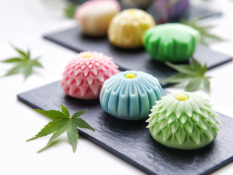 HOYO  STUDIO^-^月食记