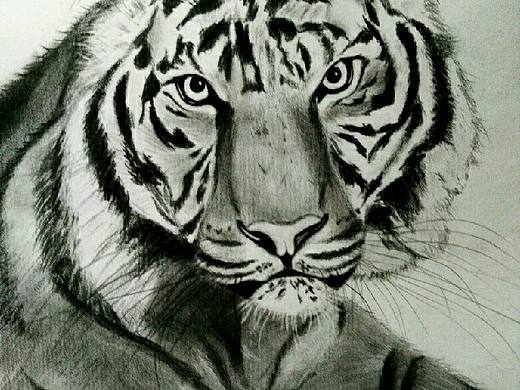 哇，大老虎⊙∀⊙！（个人主页-ZMjQxNTY4NDA=） - 绘画 - 站酷设计师泡糖水原创素材 - 站酷ZCOOL