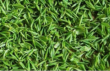 茶葉首頁-清新風(fēng)茶葉-紅茶首頁-鐵觀音-正山小種-金駿眉-簡(jiǎn)約中國風(fēng)紅茶首頁（個(gè)人主頁-ZMTM3MTg5ODQ=） - 電商 - 站酷設(shè)計(jì)師花卷姑娘原創(chuàng)素材 - 站酷ZCOOL