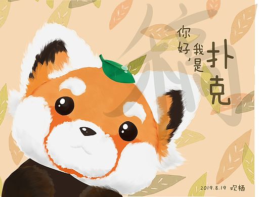 小熊猫