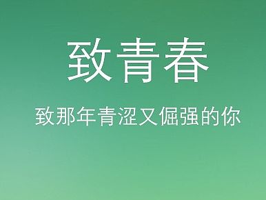 致青春手机图标