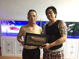 金龙鱼