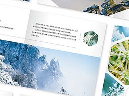 冬日的黄山雪松 画册设计