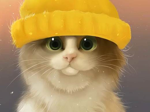 版绘猫咪