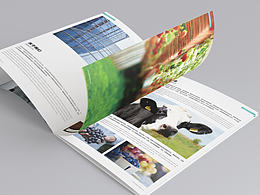 公司画册