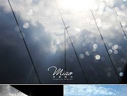 右手晴空 左手雨
