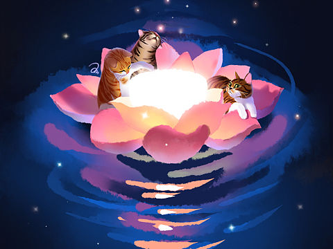 Day8 猫猫们在中元节