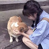 影宝的头像