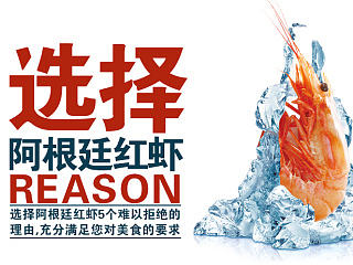 阿根廷红虾详情