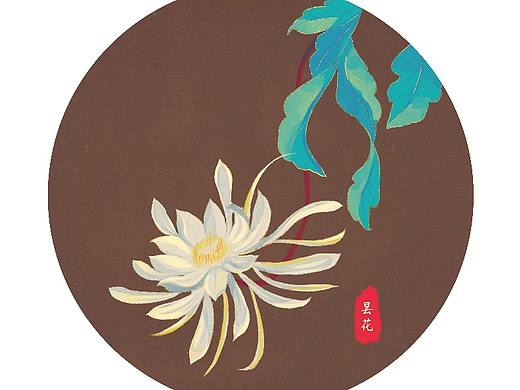 秋天的花朵