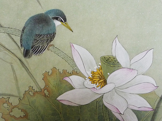国画小品.荷花翠鸟