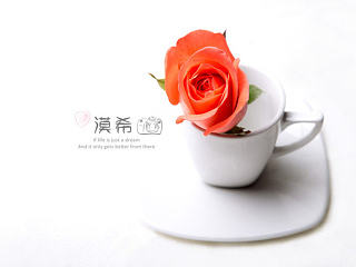 情人节送给自己的