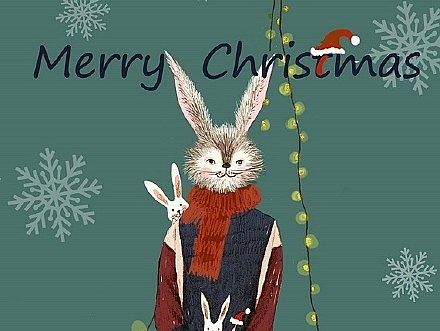 Merry christmas！