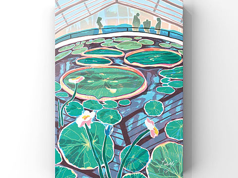 Water lily