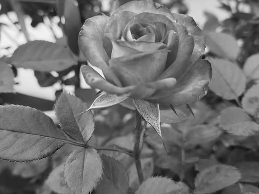 旅游照片（个人主页-ZMzk3NDE3ODQ=） - 风光摄影 - 站酷设计师無言譕訁原创素材 - 站酷ZCOOL