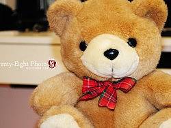 新手入住站酷,用试机照开启新家!