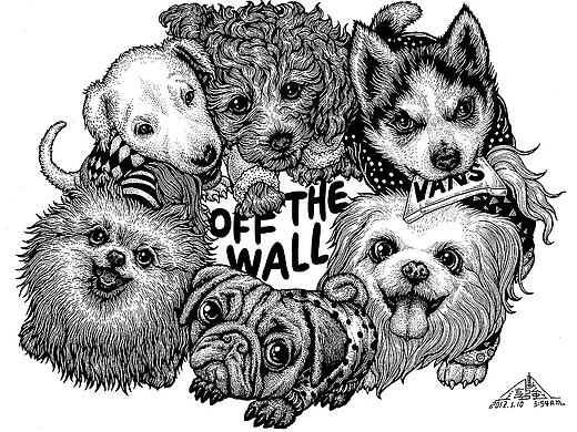 《我的2017》傅淳强年度作品总结