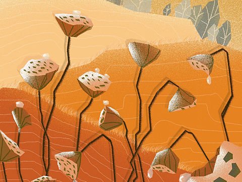 10月初的那些练习（个人主页-ZMzA2Njc0MDg=） - 商业插画 - 站酷设计师施施小佳原创素材 - 站酷ZCOOL