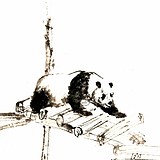 半山道人的头像