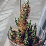 潘33的头像