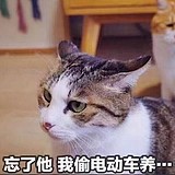 发呀的轰的头像