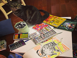 猫咪不高兴了