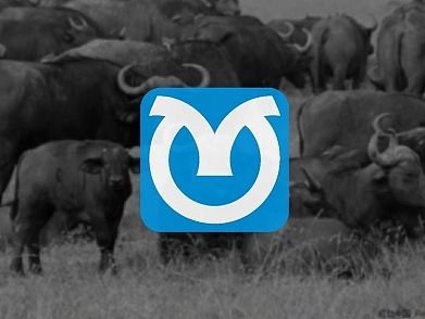 洋鮮生（個(gè)人主頁-ZMTQ0ODg1Njg=） - Logo - 站酷設(shè)計(jì)師哈機(jī)器原創(chuàng)素材 - 站酷ZCOOL