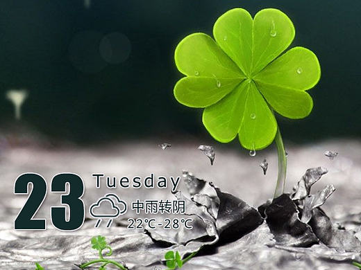 微信推广早安图