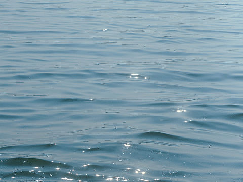 阳光下的湖水