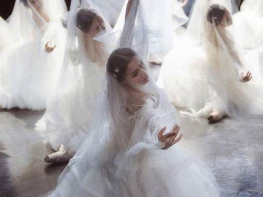 一组婚纱芭蕾海报素材分享|法式古典👰