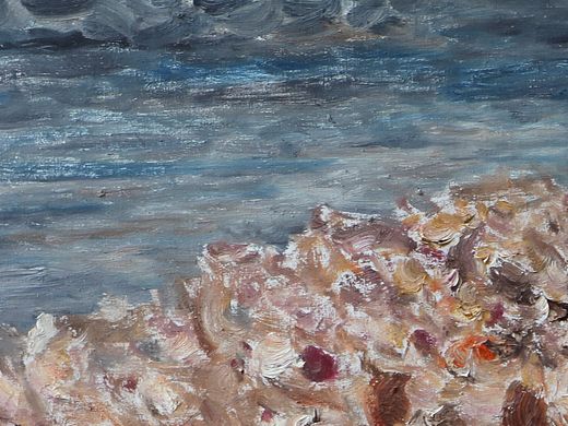 一位野生画家的作品