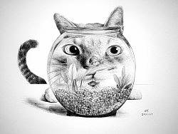 OY钢笔画：大脸猫