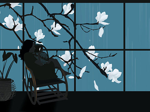 春风沉醉的夜晚