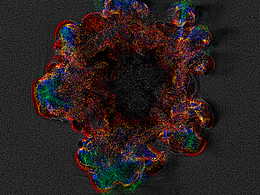 particles–c4d & tfd & x–particles & Krakatoa