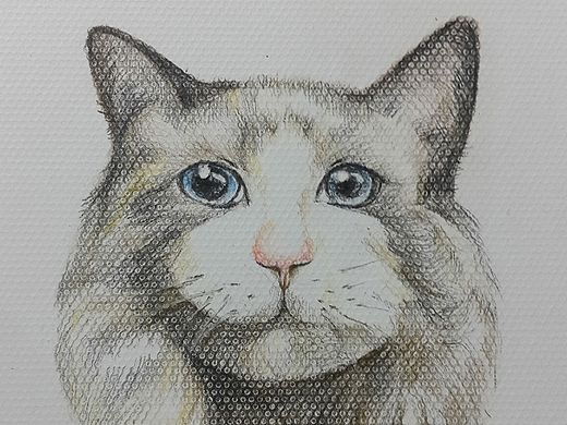 用彩铅画画