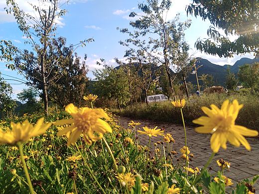 南方的夏末和晚秋